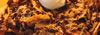Barbecue-nachos