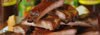 Buckinghams-ribs